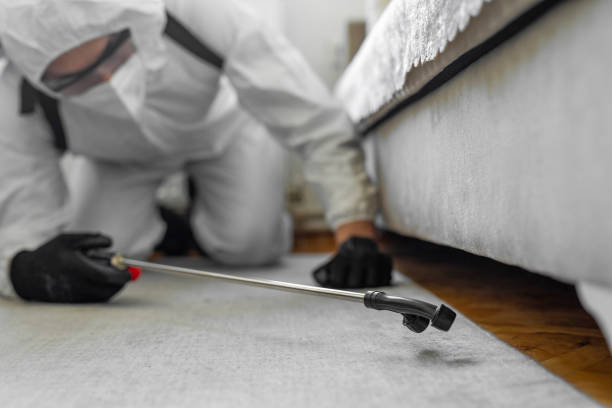 Professional Bed Bug Control technician working in Vermilion Parish County, LA